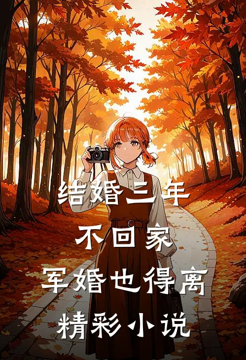 结婚三年不回家，军婚也得离精彩小说