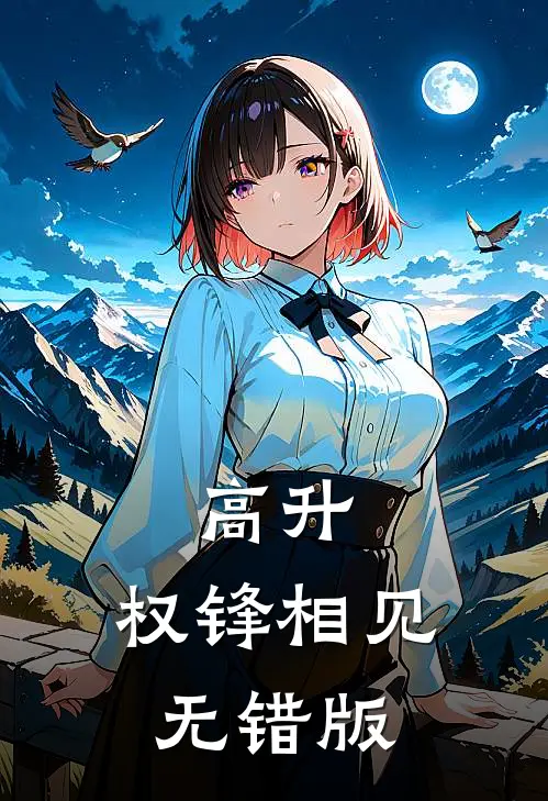 高升：权锋相见无错版