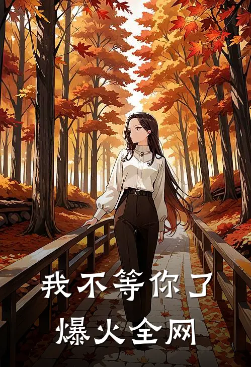 我不等你了爆火全网