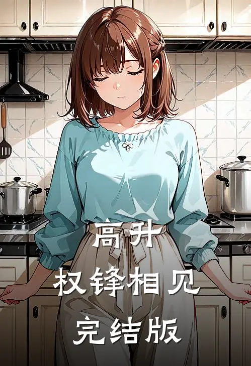 高升：权锋相见完结版