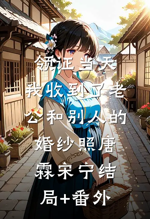 领证当天，我收到了老公和别人的婚纱照唐霖宋宁结局+番外