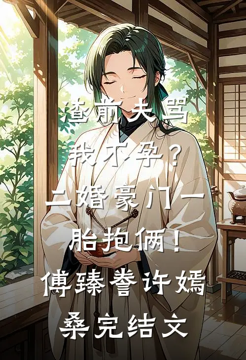 渣前夫骂我不孕？二婚豪门一胎抱俩！傅臻誊许嫣桑完结文