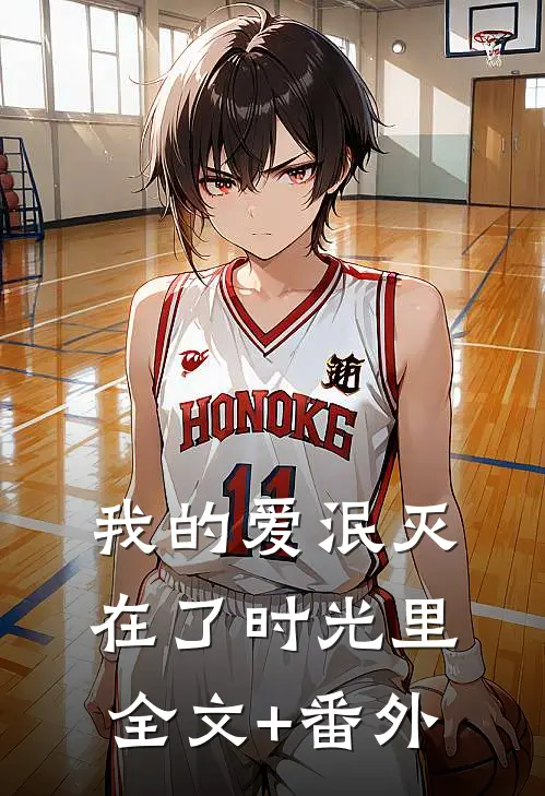 我的爱泯灭在了时光里全文+番外