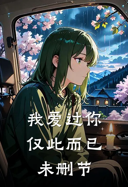 我爱过你，仅此而已未删节