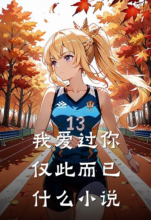 我爱过你，仅此而已什么小说