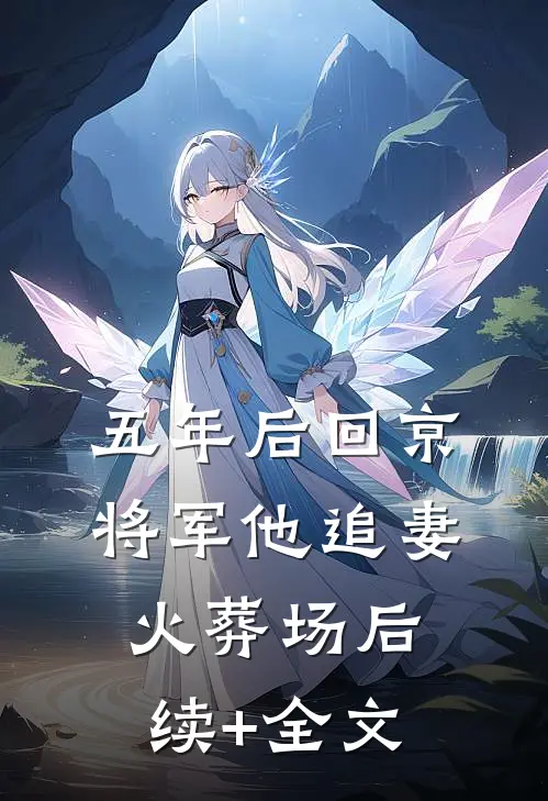 五年后回京，将军他追妻火葬场后续+全文