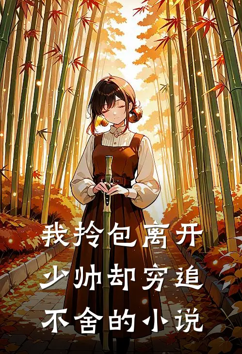 我拎包离开，少帅却穷追不舍的小说