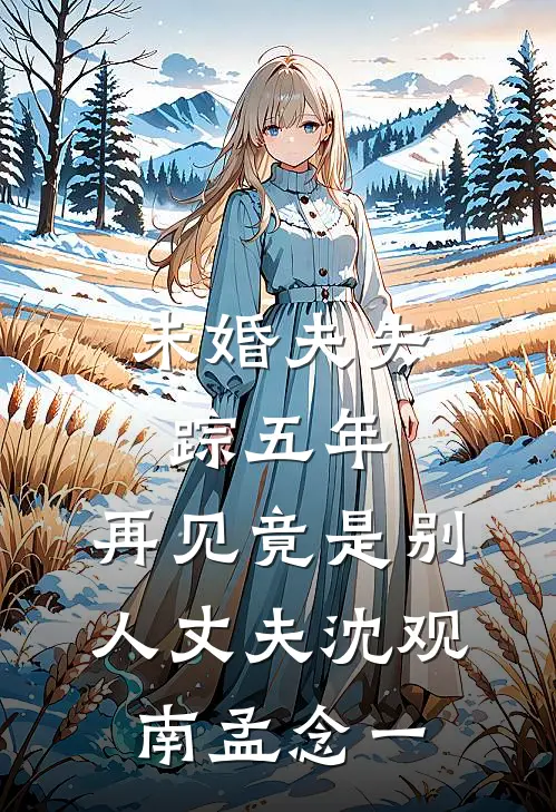 未婚夫失踪五年：再见竟是别人丈夫沈观南孟念一