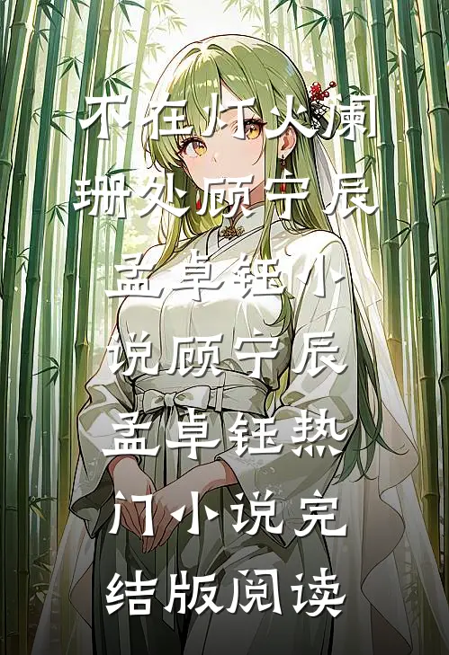 不在灯火阑珊处顾宁辰孟卓钰小说顾宁辰孟卓钰热门小说完结版阅读
