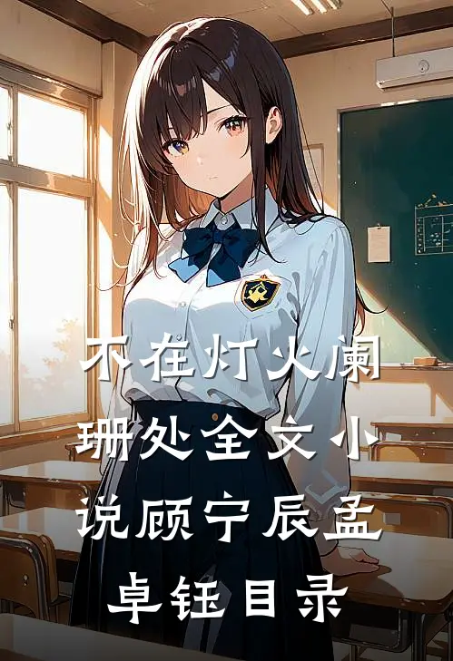 不在灯火阑珊处全文小说顾宁辰孟卓钰目录
