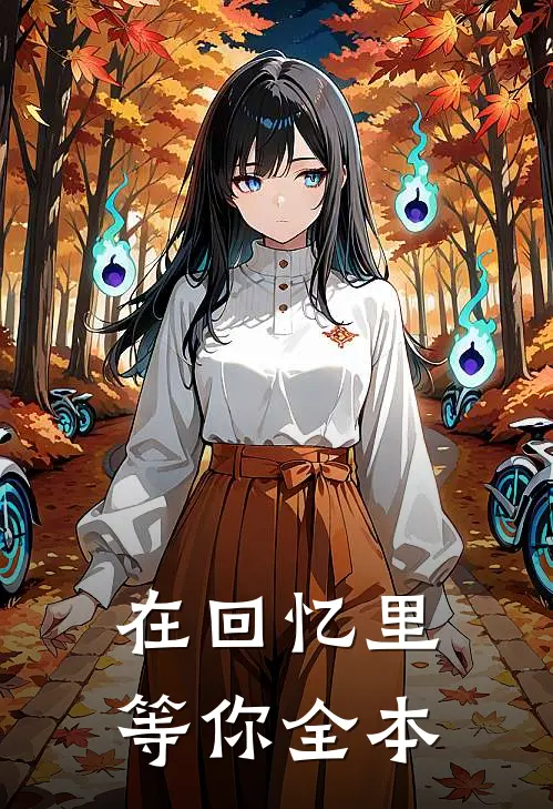 在回忆里等你全本