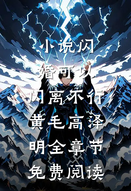 小说闪婚可以，闪离不行黄毛高泽明全章节免费阅读