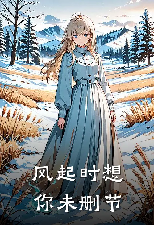 风起时想你未删节