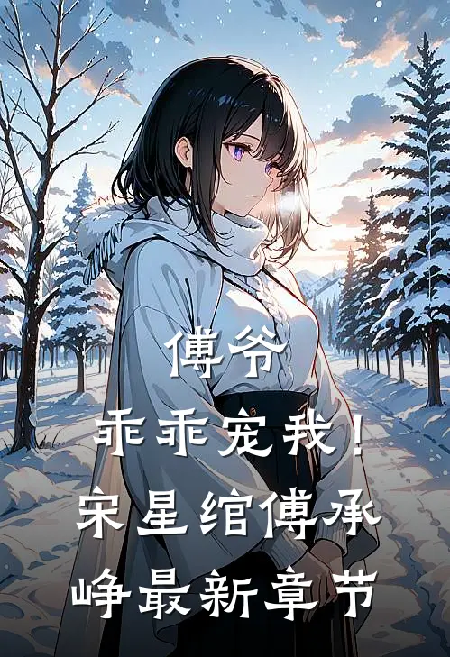 傅爷，乖乖宠我！宋星绾傅承峥最新章节