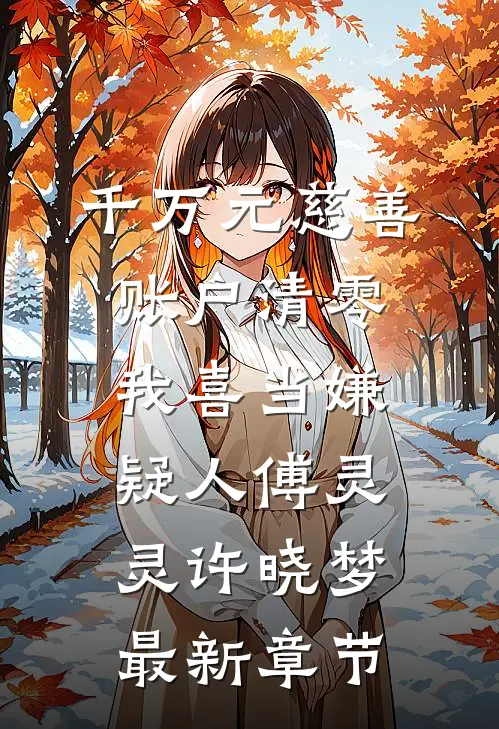 千万元慈善账户清零，我喜当嫌疑人傅灵灵许晓梦最新章节