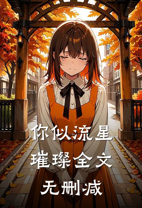 你似流星璀璨全文无删减