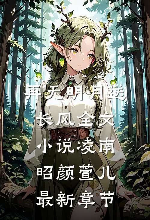再无明月送长风全文小说凌南昭颜萱儿最新章节