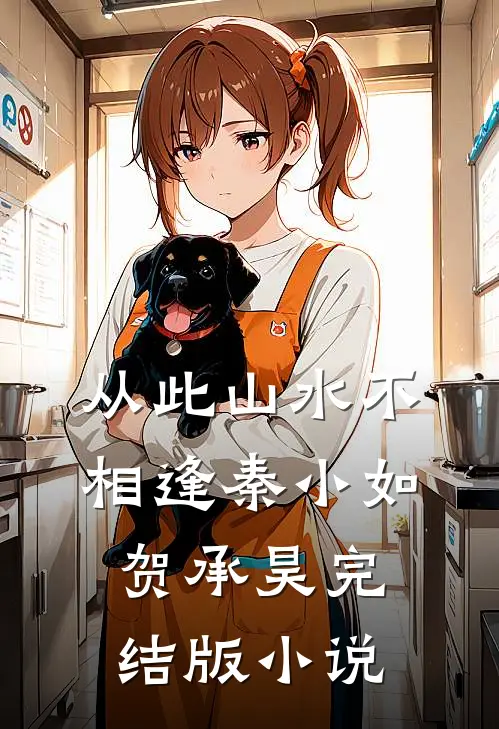 从此山水不相逢秦小如贺承昊完结版小说