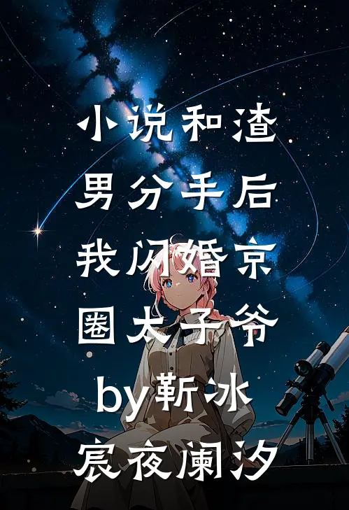 小说和渣男分手后，我闪婚京圈太子爷by靳冰宸夜阑汐