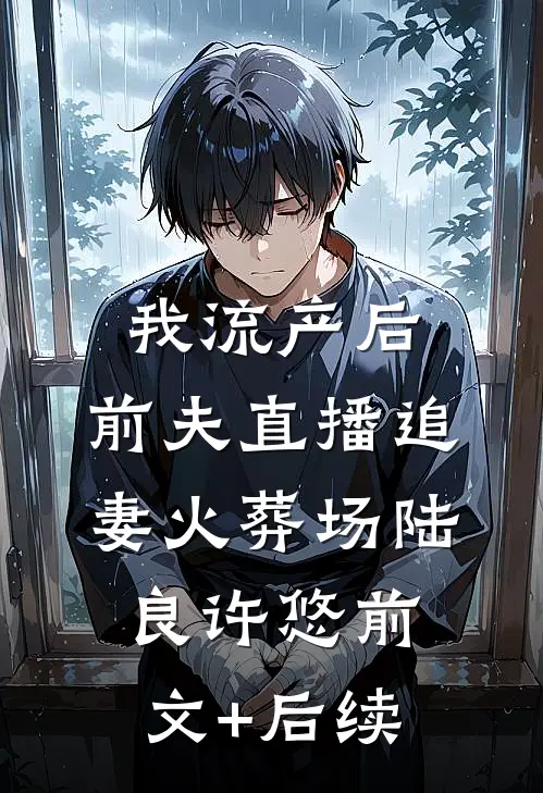 我流产后，前夫直播追妻火葬场陆良许悠前文+后续