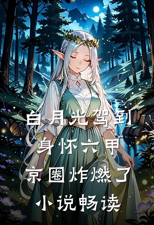 白月光驾到身怀六甲，京圈炸燃了小说畅读