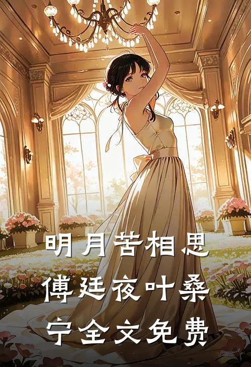 明月苦相思傅廷夜叶桑宁全文免费