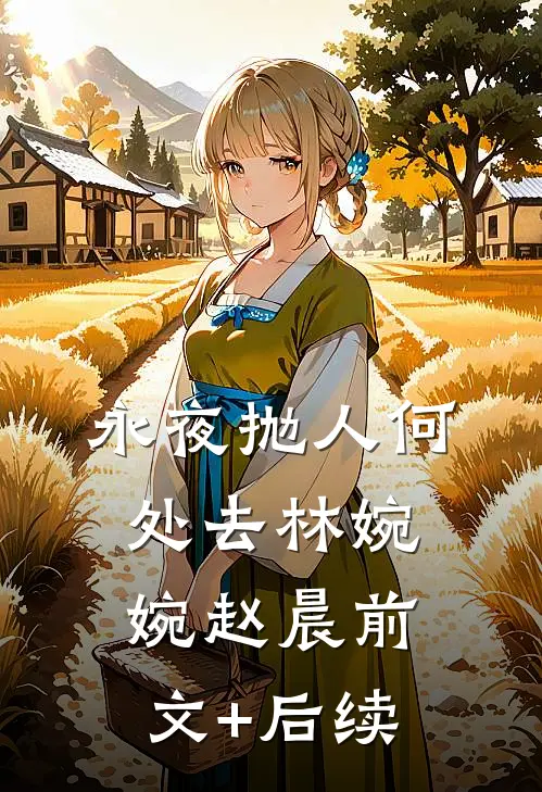 永夜抛人何处去林婉婉赵晨前文+后续