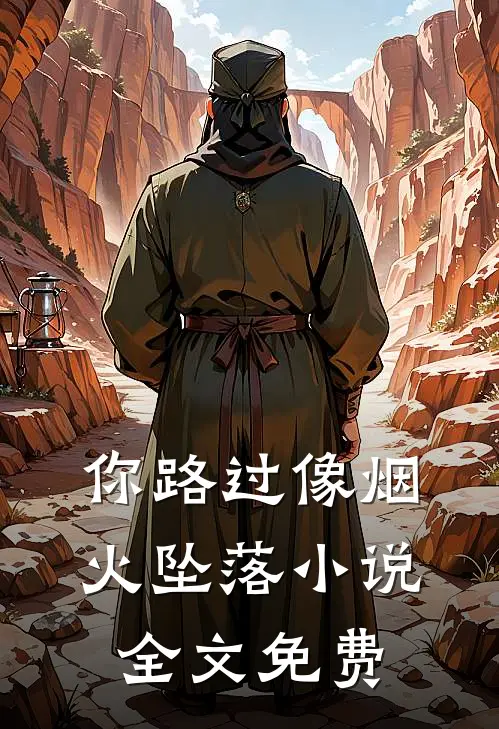 你路过像烟火坠落小说全文免费