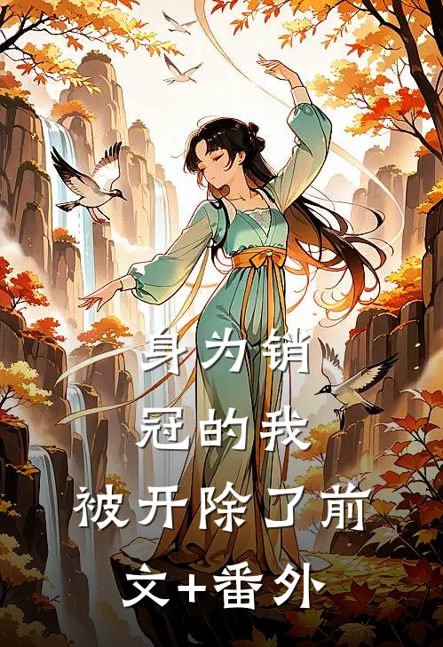 身为销冠的我，被开除了前文+番外