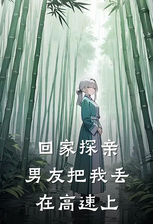 回家探亲，男友把我丢在高速上