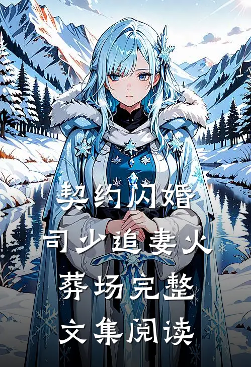 契约闪婚：司少追妻火葬场完整文集阅读
