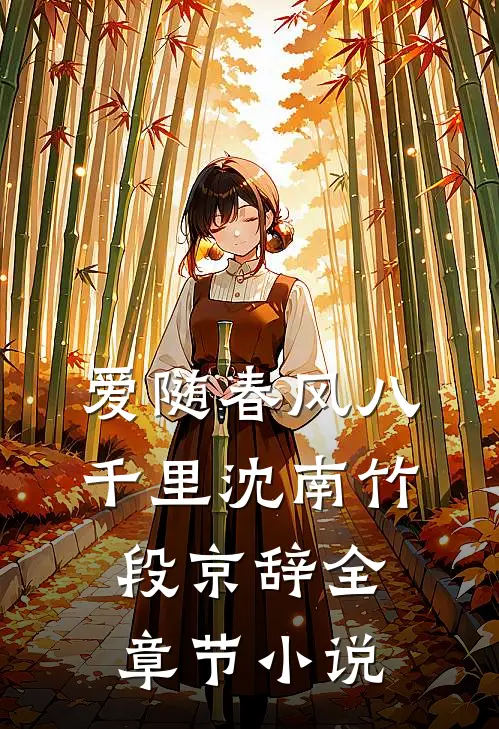 爱随春风八千里沈南竹段京辞全章节小说