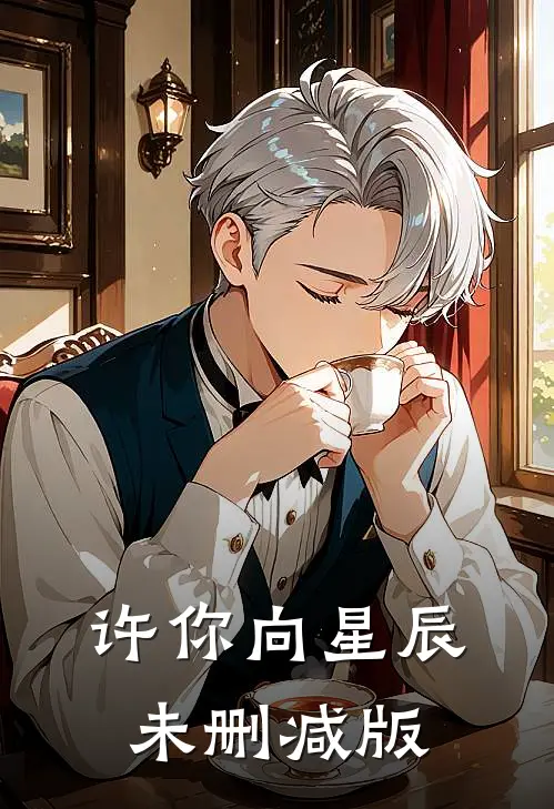 许你向星辰未删减版