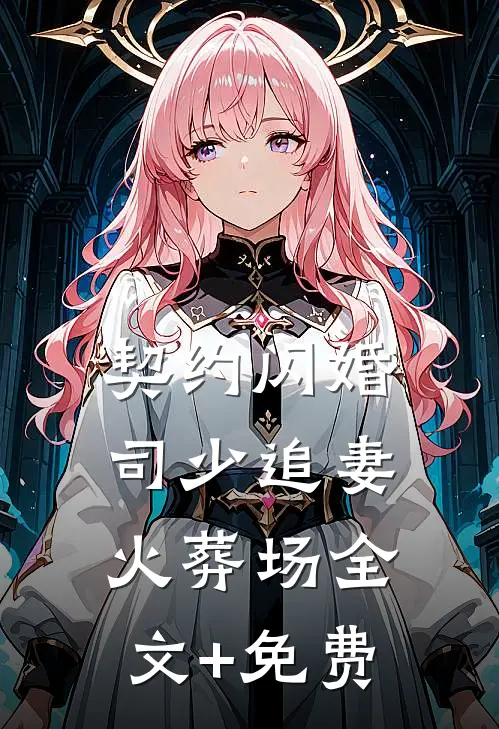 契约闪婚：司少追妻火葬场全文+免费