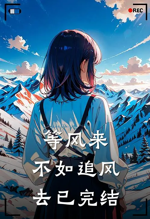 等风来，不如追风去已完结