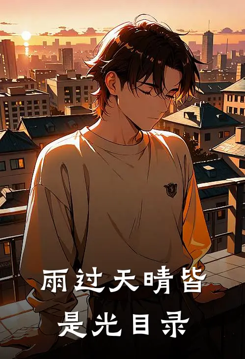 雨过天晴皆是光目录