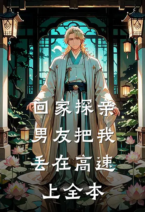 回家探亲，男友把我丢在高速上全本