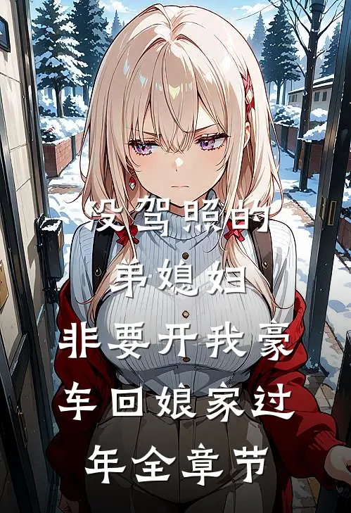 没驾照的弟媳妇，非要开我豪车回娘家过年全章节