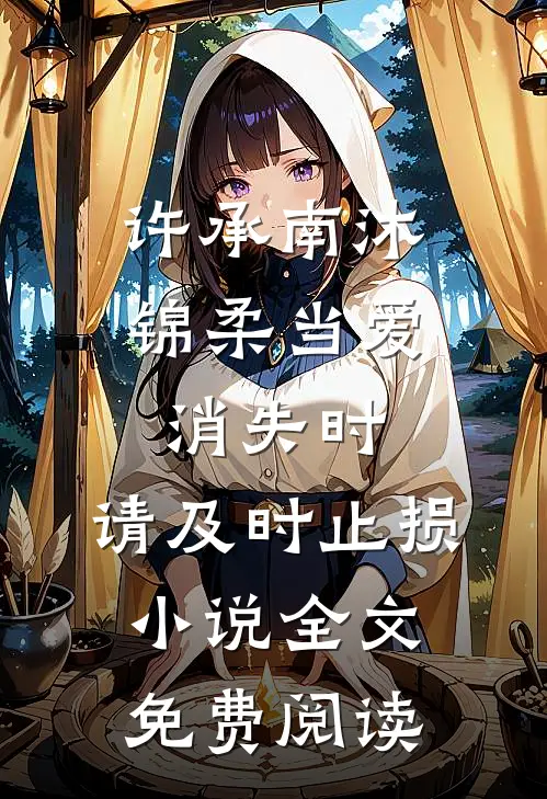 许承南沐锦柔当爱消失时，请及时止损小说全文免费阅读