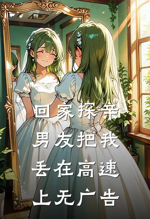 回家探亲，男友把我丢在高速上无广告