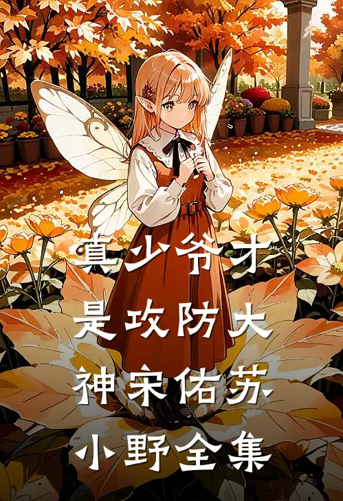 真少爷才是攻防大神宋佑苏小野全集