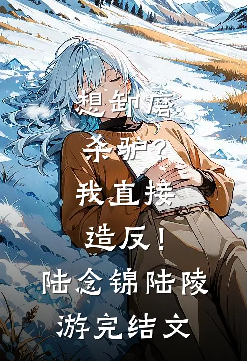 想卸磨杀驴？我直接造反！陆念锦陆陵游完结文