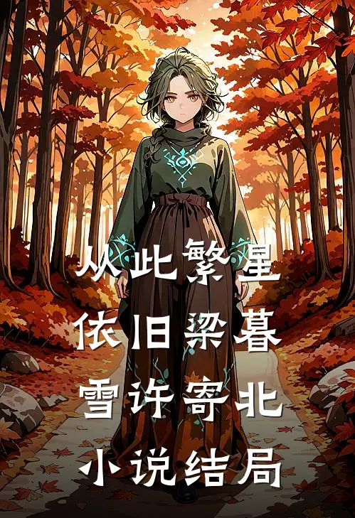 从此繁星依旧梁暮雪许寄北小说结局