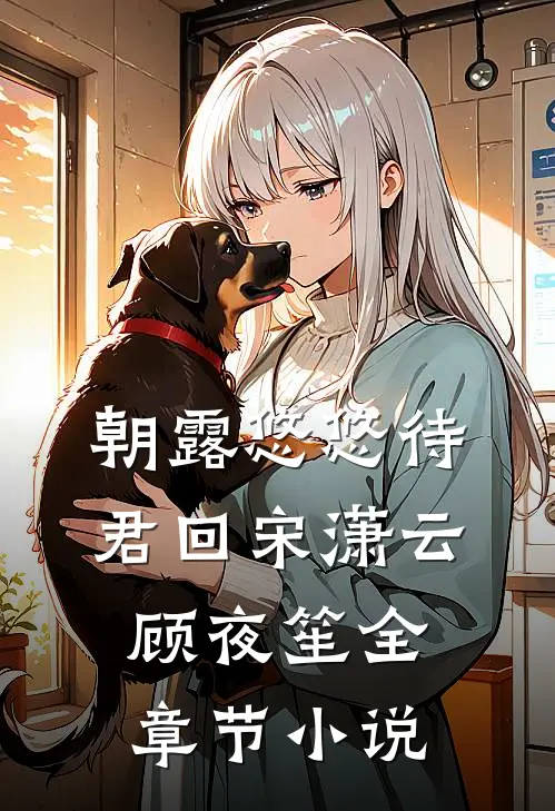 朝露悠悠待君回宋潇云顾夜笙全章节小说