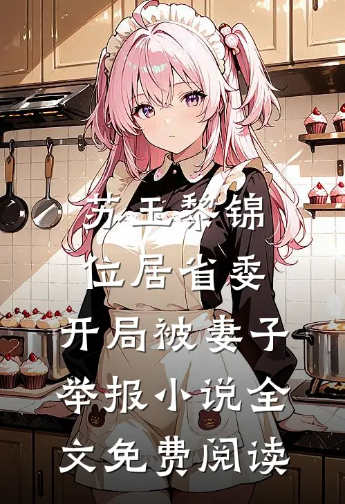 苏玉黎锦位居省委，开局被妻子举报小说全文免费阅读