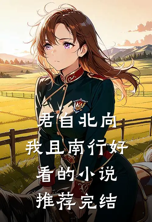 君自北向,我且南行好看的小说推荐完结