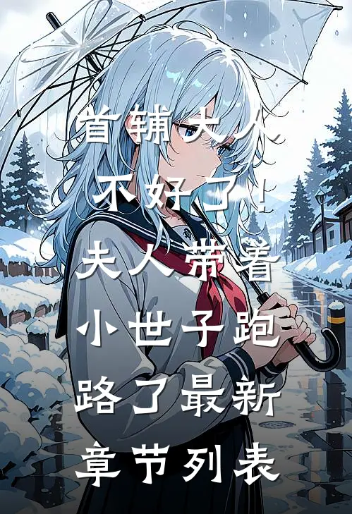首辅大人不好了！夫人带着小世子跑路了最新章节列表