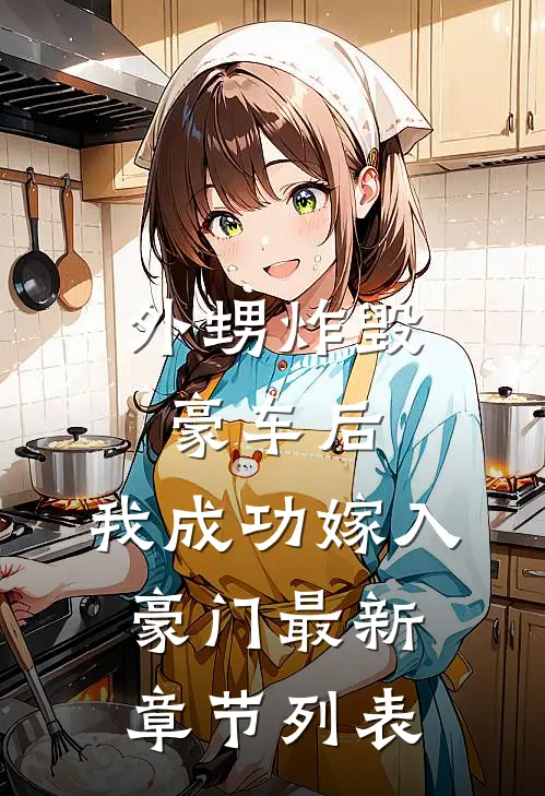 外甥炸毁豪车后，我成功嫁入豪门最新章节列表
