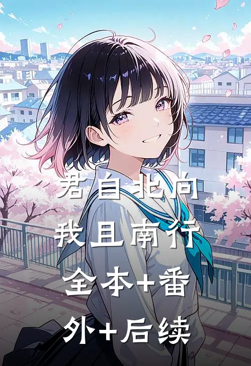 君自北向,我且南行全本+番外+后续