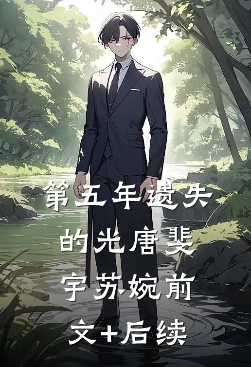 第五年遗失的光唐斐宇苏婉前文+后续